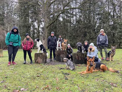 Doglar szkolenie psów