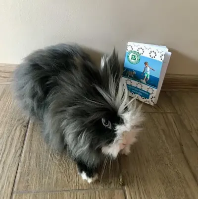 Hotel dla Małych Zwierząt Twój Kumpel